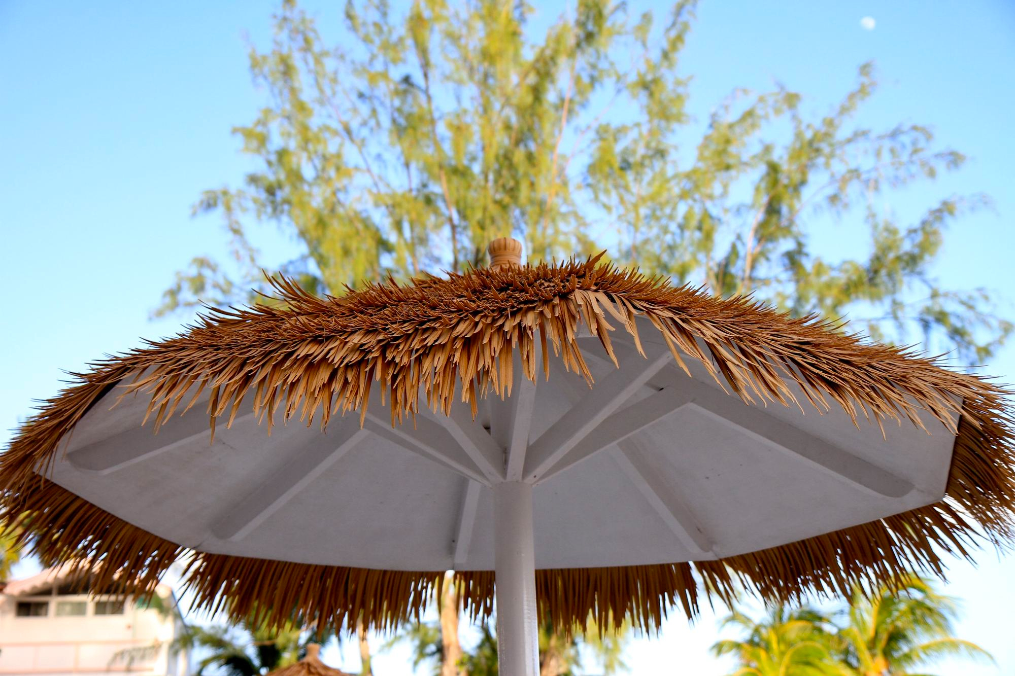 Parasoles de brezo